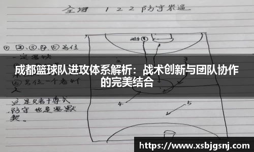 成都篮球队进攻体系解析：战术创新与团队协作的完美结合