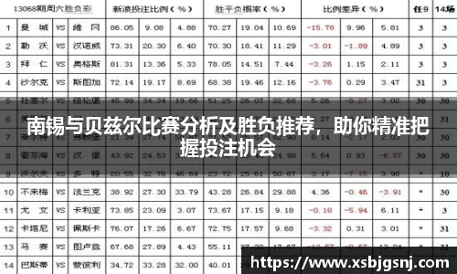 南锡与贝兹尔比赛分析及胜负推荐，助你精准把握投注机会